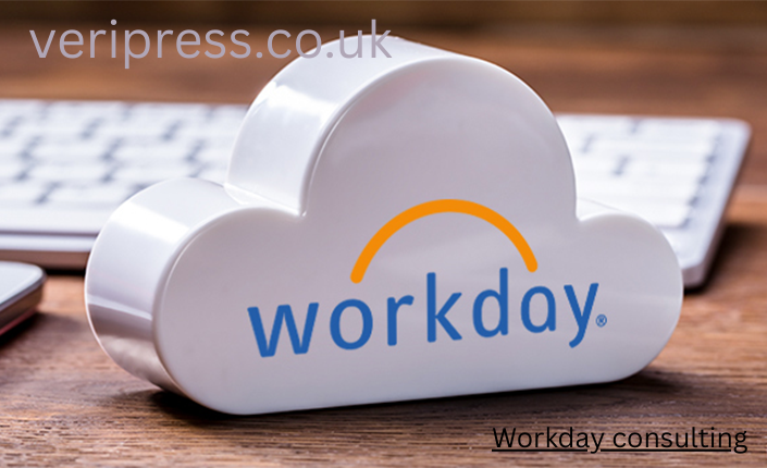 Workday consulting